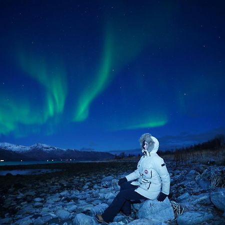 Arctic Rooms Rektor Tromsø Esterno foto